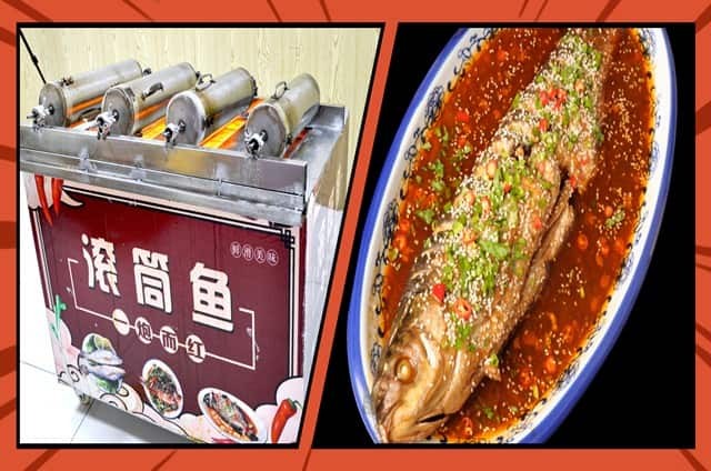 炮筒魚培訓